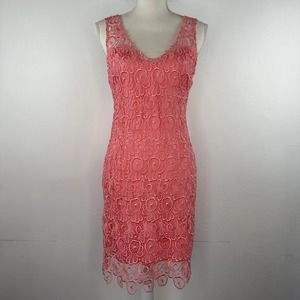 BB Dakota | Pink Lace Sheath Dress, Size 2